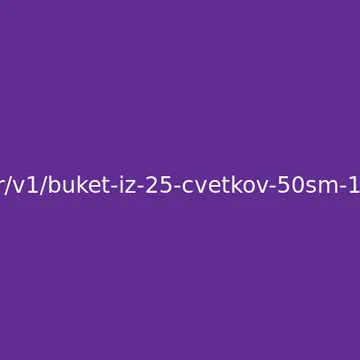 Букет из 25 цветков 50см